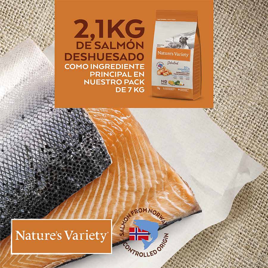 Nature's Variety Selected Mini Adult Salm&oacute;n Sin Cereales Imagem n&uacute;mero 4